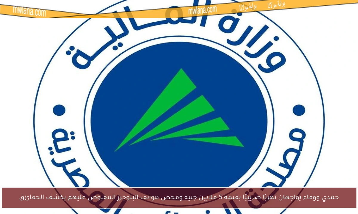 حمدي ووفاء يواجهان تهربًا ضريبيًا بقيمة 5 ملايين جنيه وفحص هواتف البلوجرز المقبوض عليهم يكشف الحقائق
