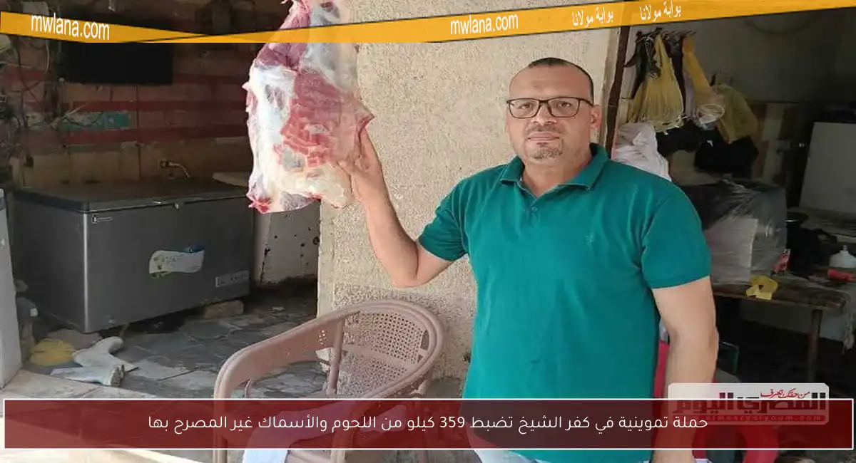 حملة تموينية في كفر الشيخ تضبط 359 كيلو من اللحوم والأسماك غير المصرح بها