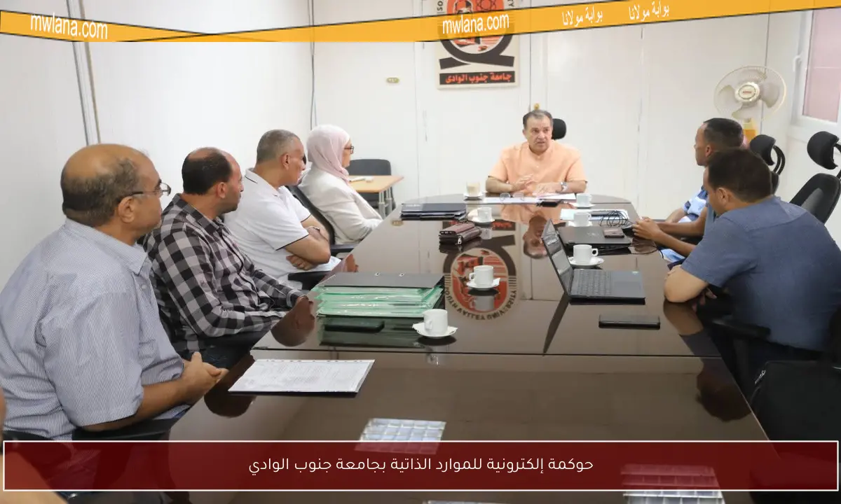 حوكمة إلكترونية للموارد الذاتية بجامعة جنوب الوادي