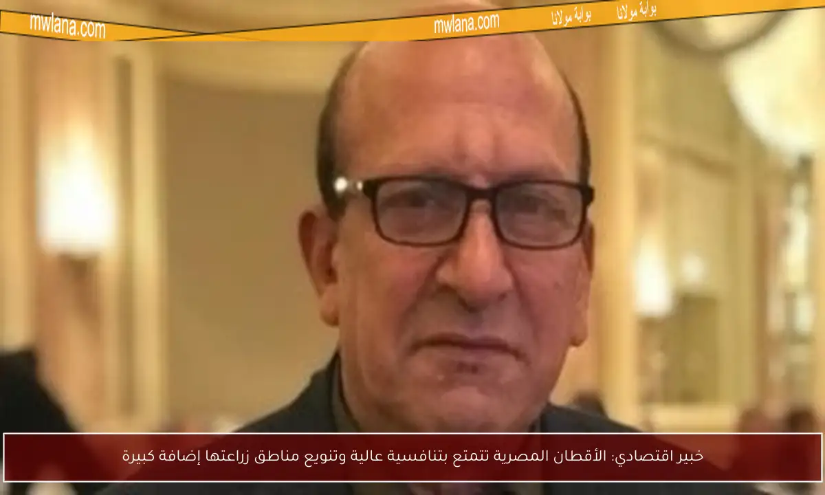 خبير اقتصادي: الأقطان المصرية تتمتع بتنافسية عالية وتنويع مناطق زراعتها إضافة كبيرة