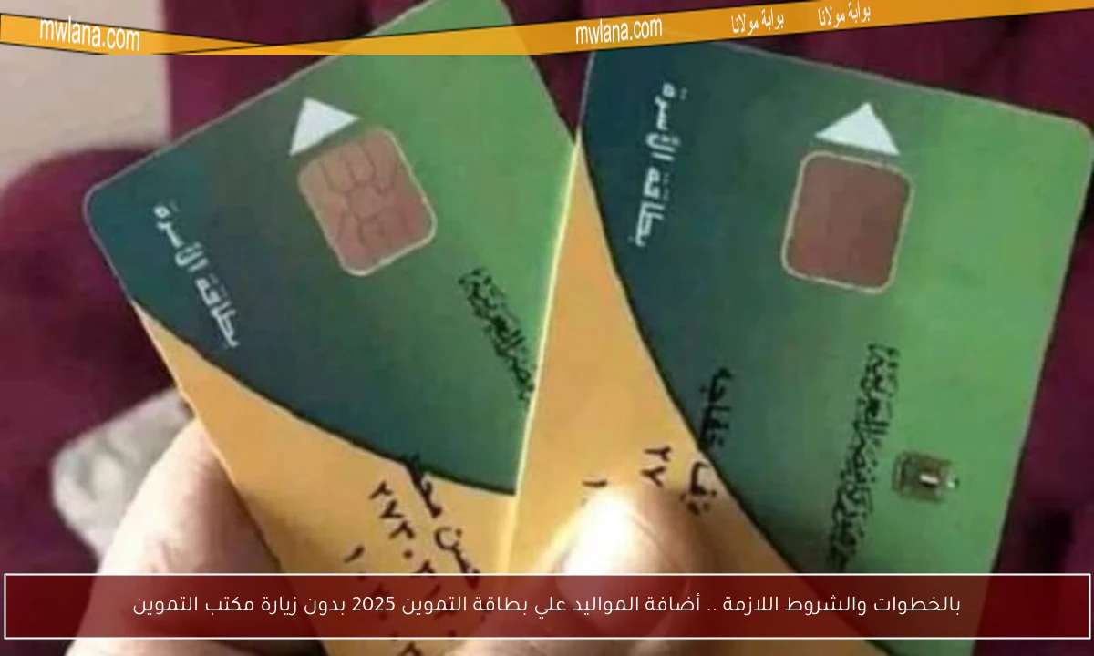 بالخطوات والشروط اللازمة .. أضافة المواليد علي بطاقة التموين 2025 بدون زيارة مكتب التموين