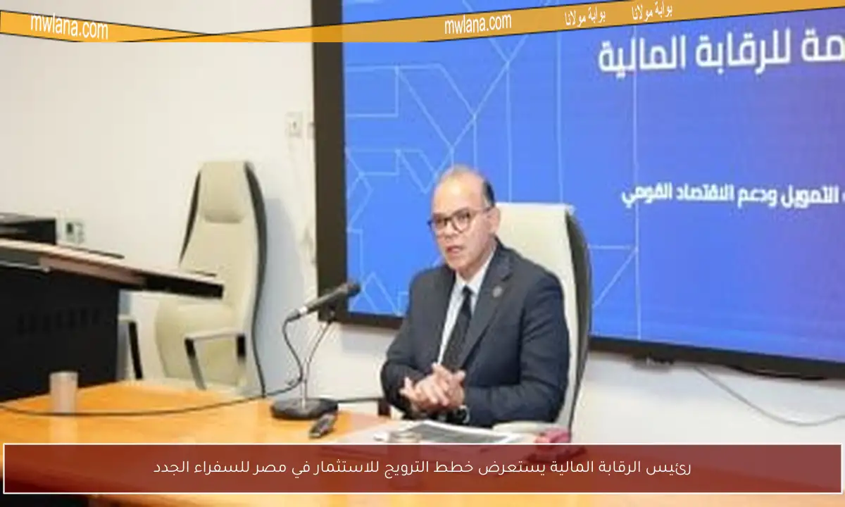 رئيس الرقابة المالية يستعرض خطط الترويج للاستثمار في مصر للسفراء الجدد