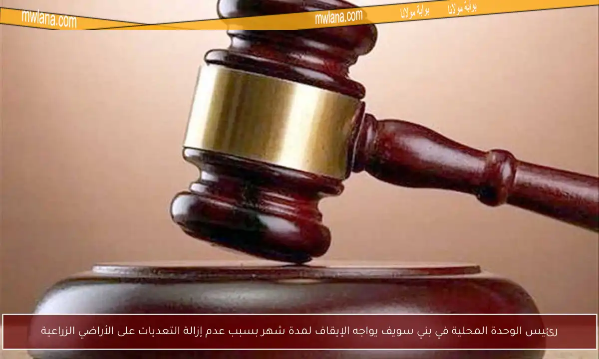 رئيس الوحدة المحلية في بني سويف يواجه الإيقاف لمدة شهر بسبب عدم إزالة التعديات على الأراضي الزراعية