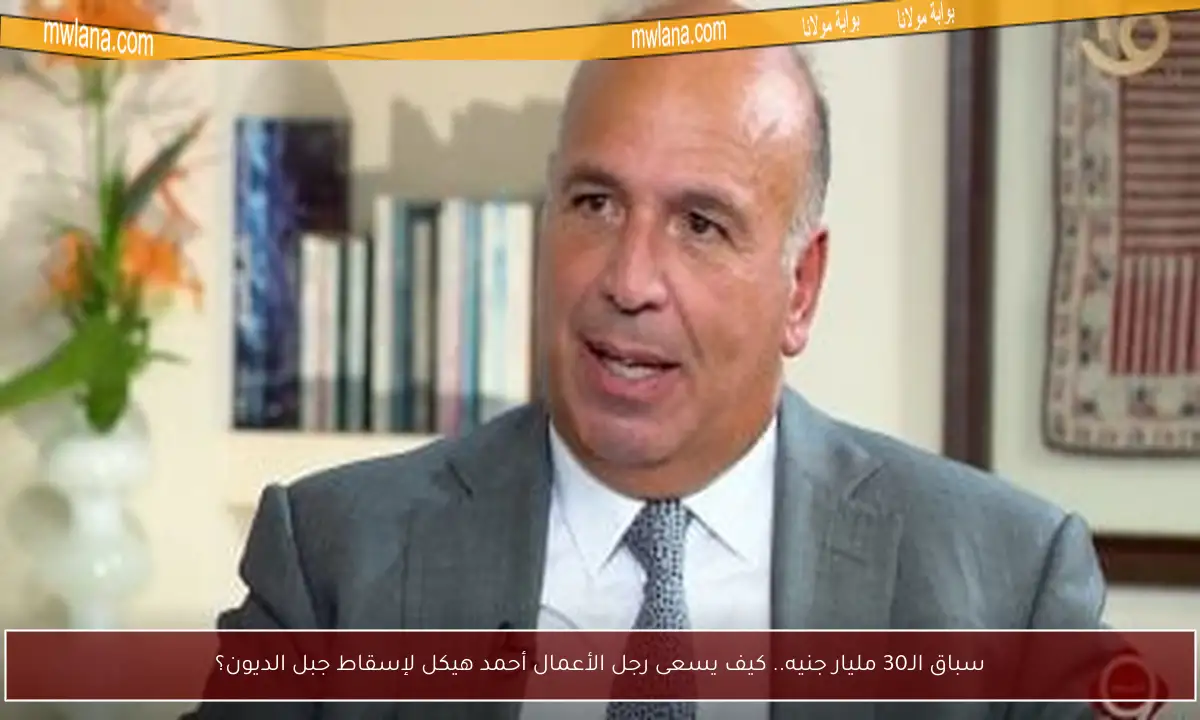 سباق الـ30 مليار جنيه.. كيف يسعى رجل الأعمال أحمد هيكل لإسقاط جبل الديون؟