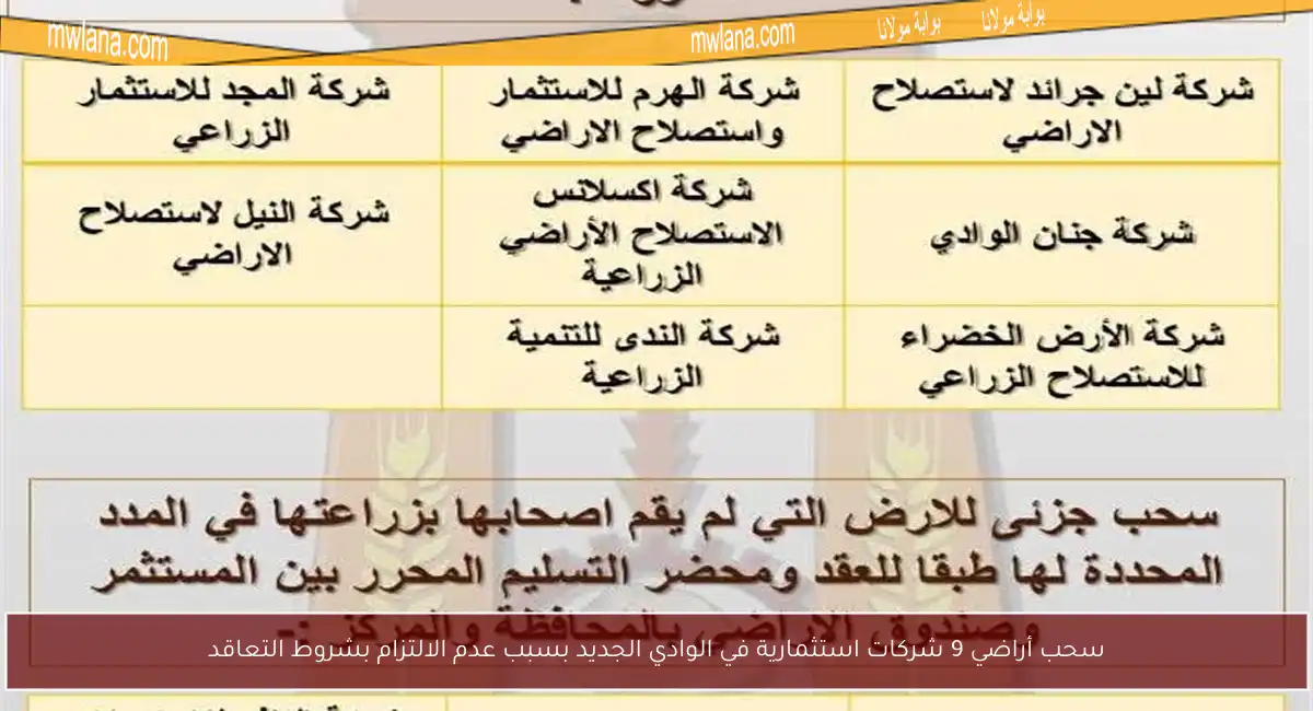 سحب أراضي 9 شركات استثمارية في الوادي الجديد بسبب عدم الالتزام بشروط التعاقد