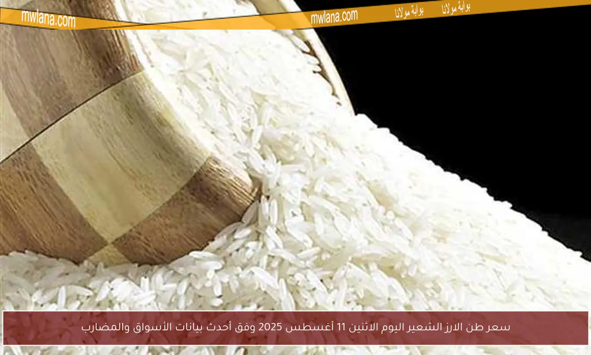 سعر طن الارز الشعير اليوم الاثنين 11 أغسطس 2025 وفق أحدث بيانات الأسواق والمضارب