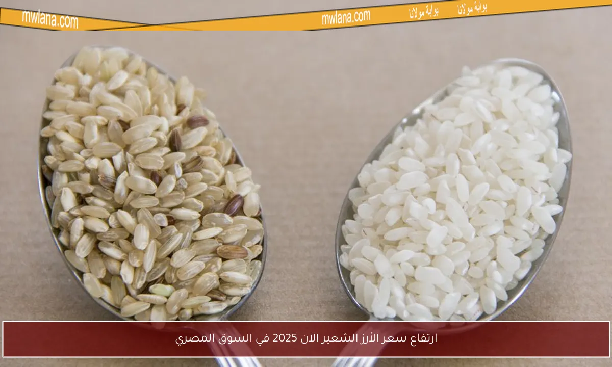 ارتفاع سعر الأرز الشعير الآن 2025 في السوق المصري