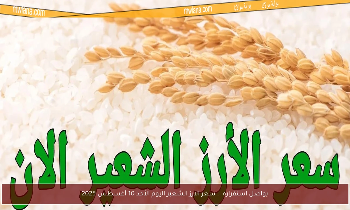 يواصل استقراره .. سعر الارز الشعير اليوم الأحد 10 أغسطس 2025