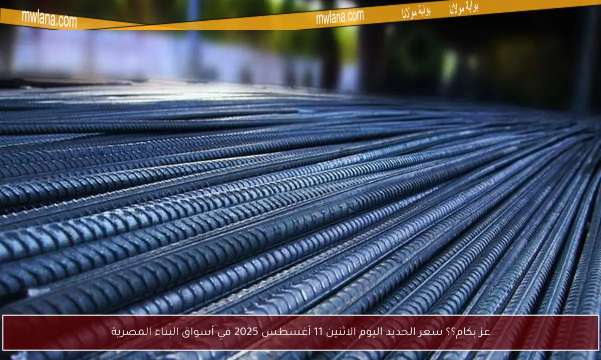 عز بكام؟؟ سعر الحديد اليوم الاثنين 11 أغسطس 2025 في أسواق البناء المصرية