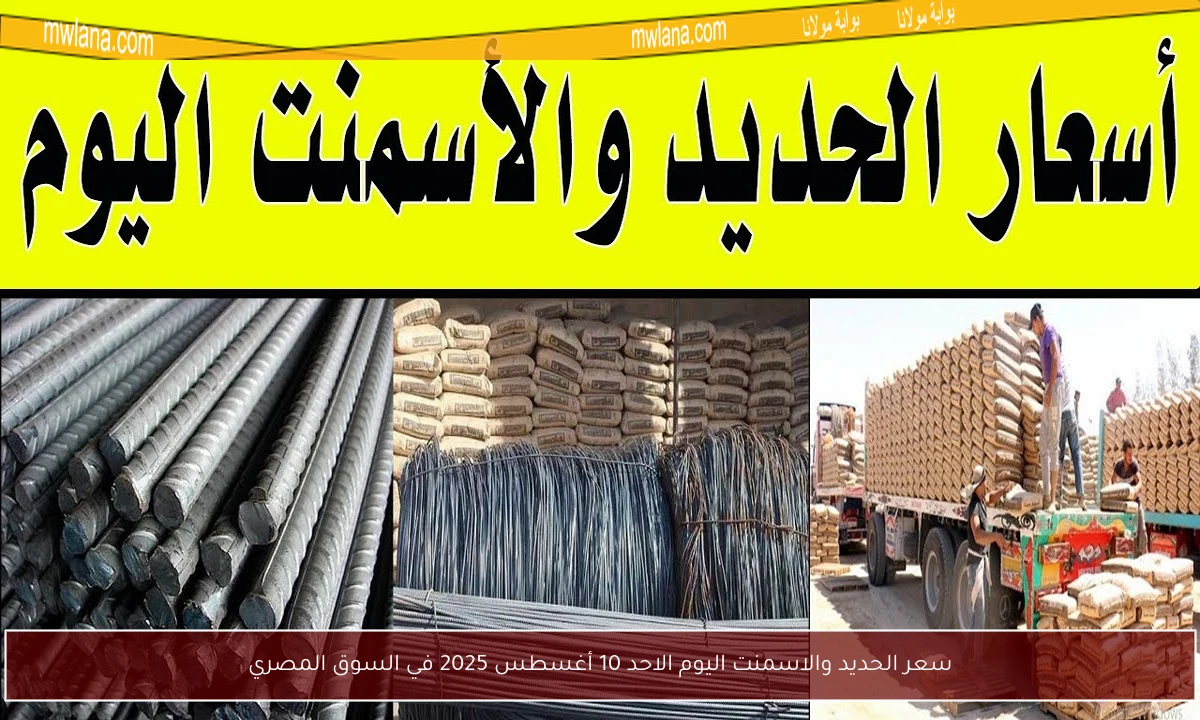 سعر الحديد والاسمنت اليوم الاحد 10 أغسطس 2025 في السوق المصري