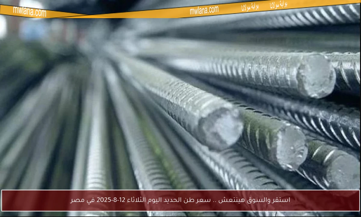 استقر والسوق هينتعش .. سعر طن الحديد اليوم الثلاثاء 12-8-2025 في مصر