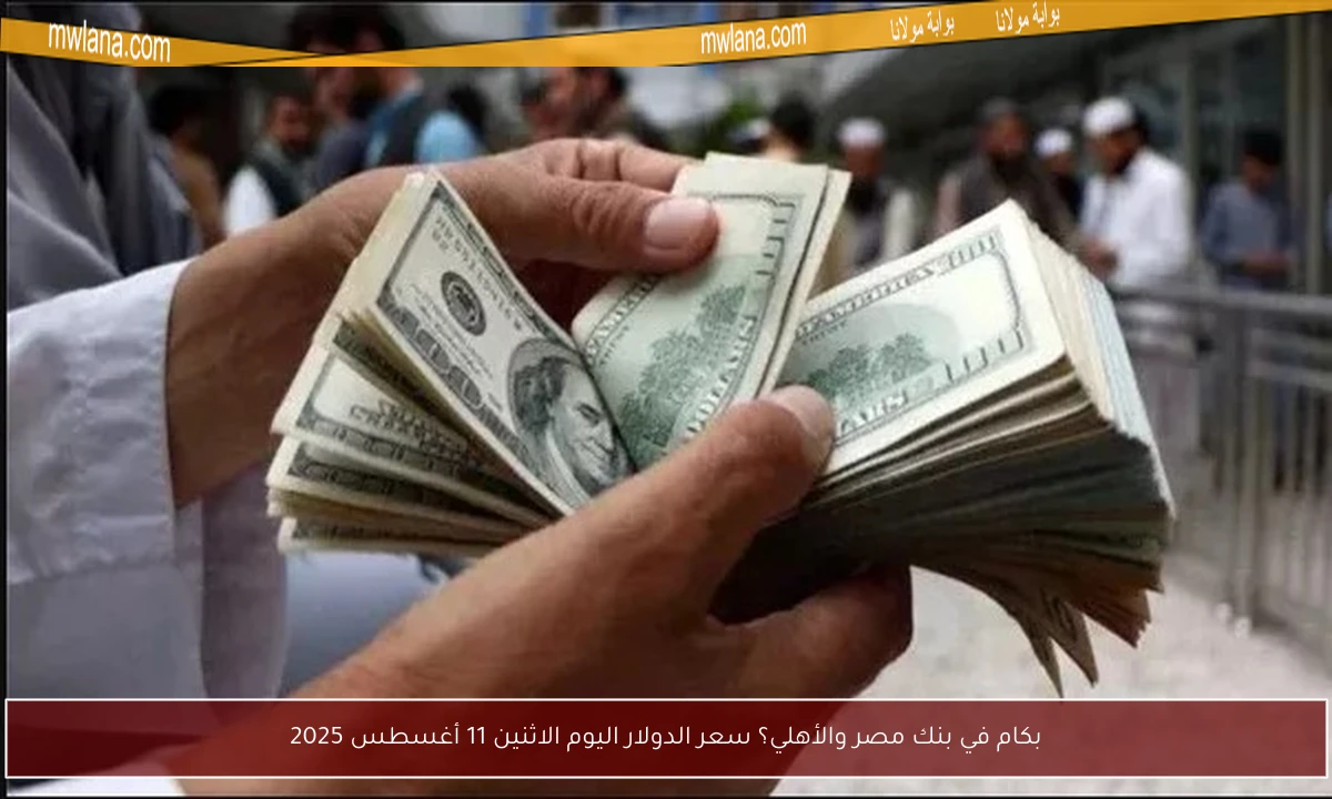 بكام في بنك مصر والأهلي؟ سعر الدولار اليوم الاثنين 11 أغسطس 2025