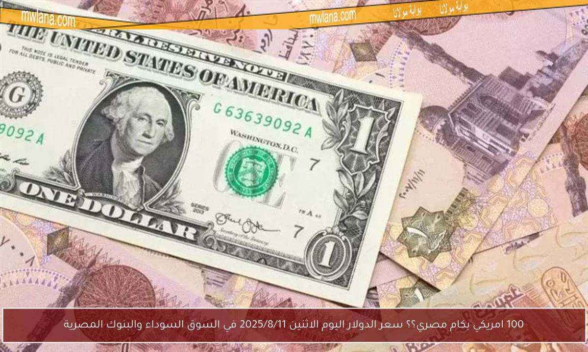 100 امريكي بكام مصري؟؟ سعر الدولار اليوم الاثنين 2025/8/11 في السوق السوداء والبنوك المصرية