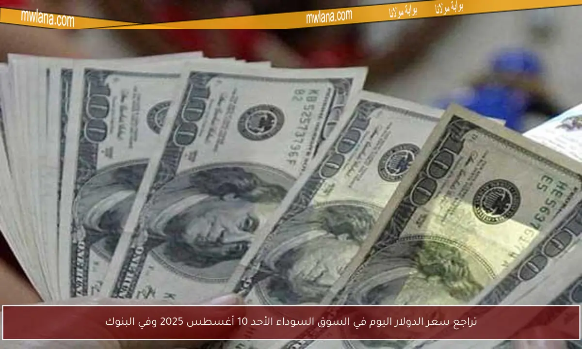 تراجع سعر الدولار اليوم في السوق السوداء الأحد 10 أغسطس 2025 وفي البنوك