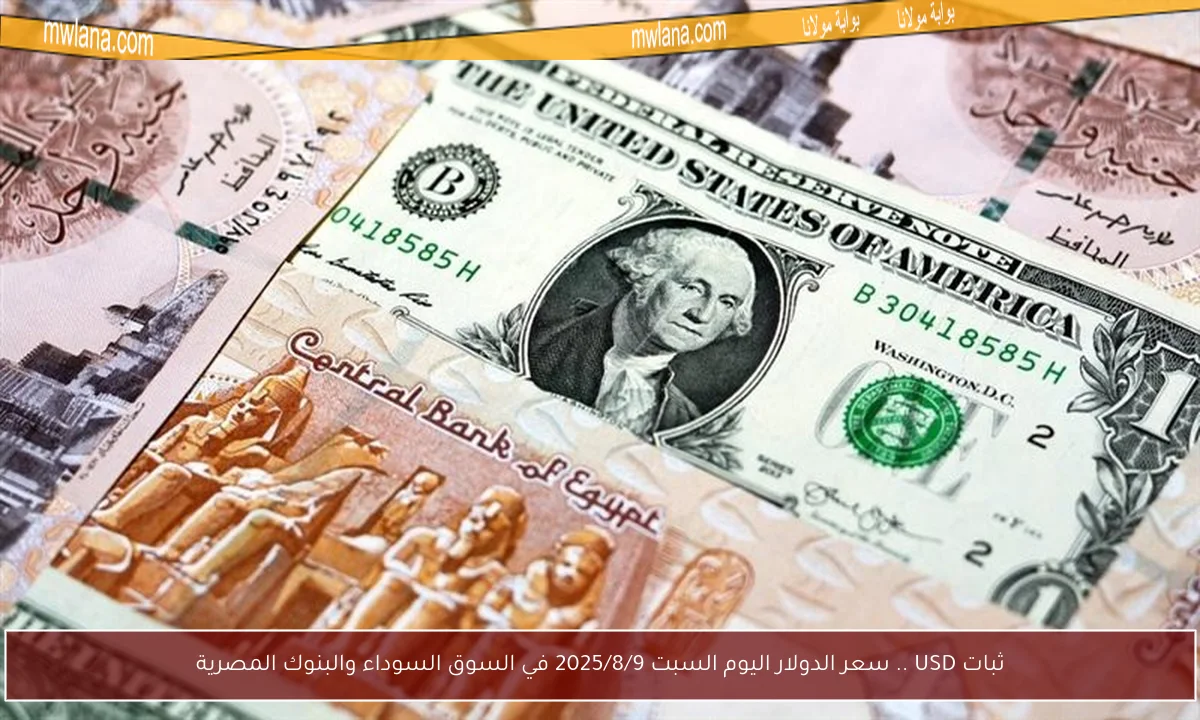 ثبات USD .. سعر الدولار اليوم السبت 2025/8/9 في السوق السوداء والبنوك المصرية