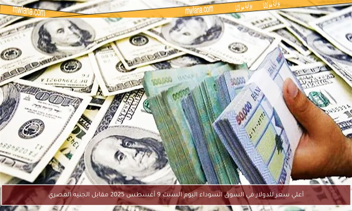 أعلي سعر للدولار في السوق السوداء اليوم السبت 9 أغسطس 2025 مقابل الجنيه المصري