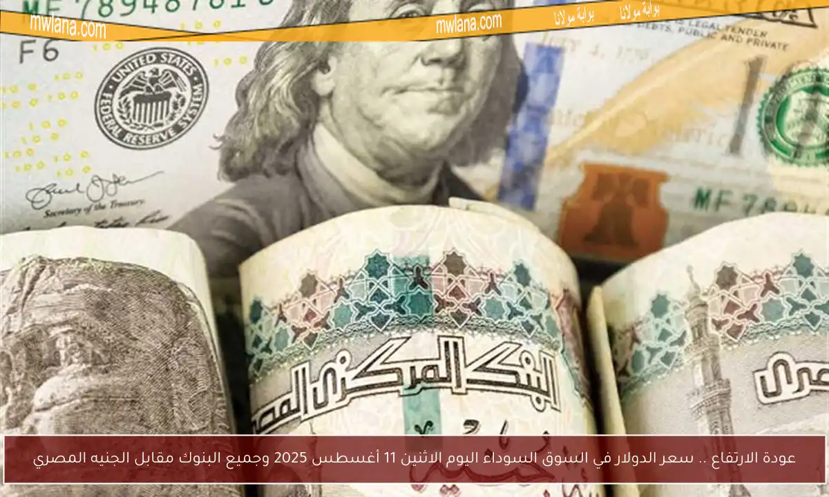 عودة الارتفاع .. سعر الدولار في السوق السوداء اليوم الاثنين 11 أغسطس 2025 وجميع البنوك مقابل الجنيه المصري
