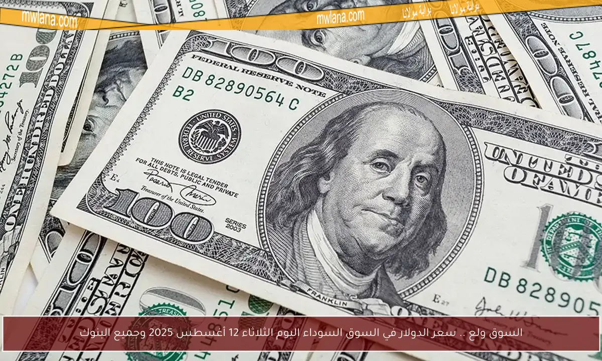 السوق ولع .. سعر الدولار في السوق السوداء اليوم الثلاثاء 12 أغسطس 2025 وجميع البنوك