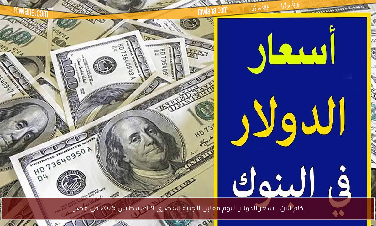 بكام الان.. سعر الدولار اليوم مقابل الجنيه المصري 9 اغسطس 2025 في مصر  
