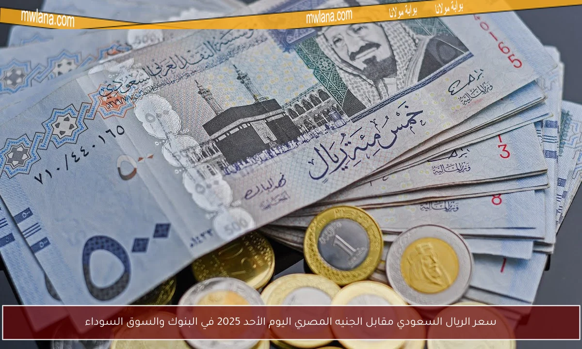سعر الريال السعودي مقابل الجنيه المصري اليوم الأحد 2025 في البنوك والسوق السوداء