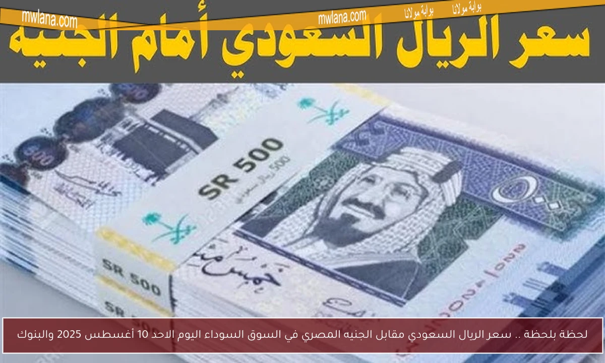 لحظة بلحظة .. سعر الريال السعودي مقابل الجنيه المصري في السوق السوداء اليوم الاحد 10 أغسطس 2025 والبنوك