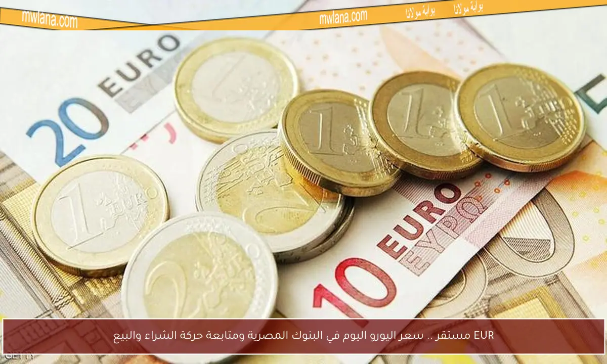 EUR مستقر .. سعر اليورو اليوم في البنوك المصرية ومتابعة حركة الشراء والبيع