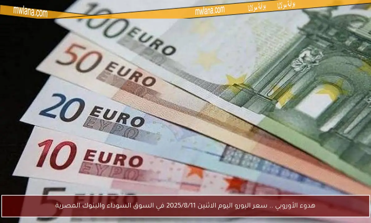 هدوء الأوروبي .. سعر اليورو اليوم الاثنين 2025/8/11 في السوق السوداء والبنوك المصرية