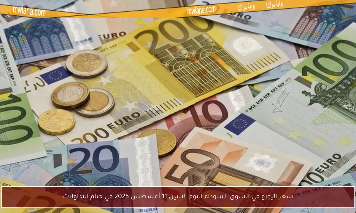 سعر اليورو في السوق السوداء اليوم الاثنين 11 أغسطس 2025 في ختام التداولات
