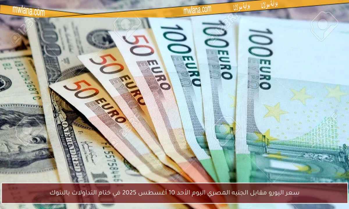 سعر اليورو مقابل الجنيه المصري اليوم الأحد 10 أغسطس 2025 في ختام التداولات بالبنوك