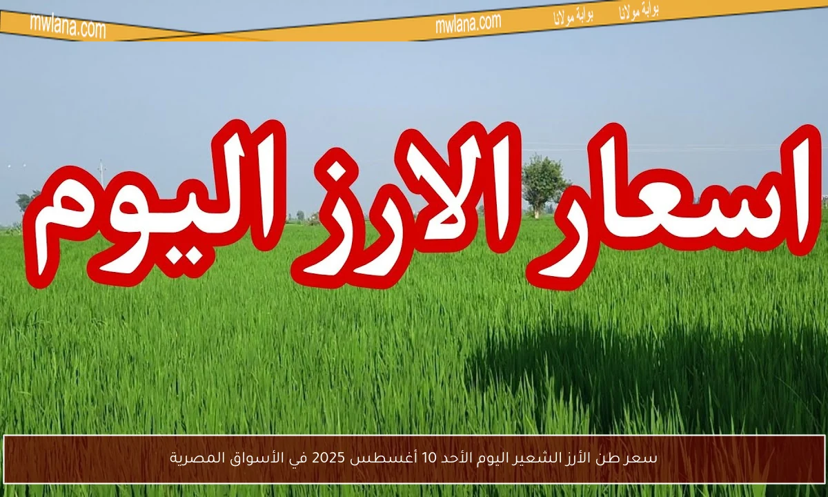 سعر طن الأرز الشعير اليوم الأحد 10 أغسطس 2025 في الأسواق المصرية