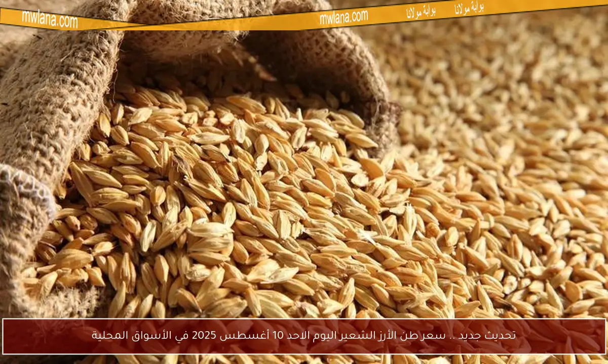 تحديث جديد .. سعر طن الأرز الشعير اليوم الاحد 10 أغسطس 2025 في الأسواق المحلية