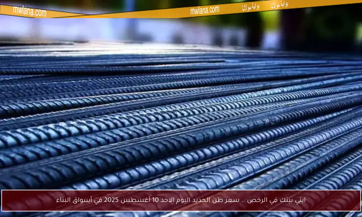 ابني بيتك في الرخص .. سعر طن الحديد اليوم الاحد 10 أغسطس 2025 في أسواق البناء