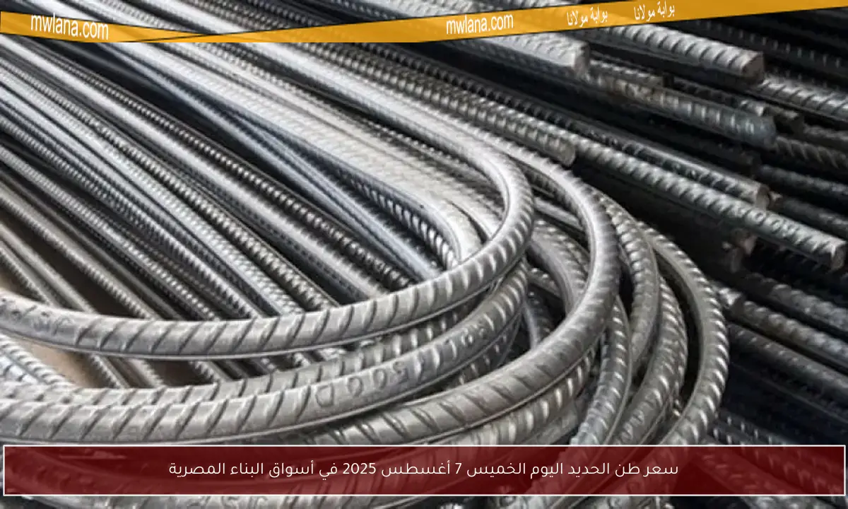 سعر طن الحديد اليوم الخميس 7 أغسطس 2025 في أسواق البناء المصرية