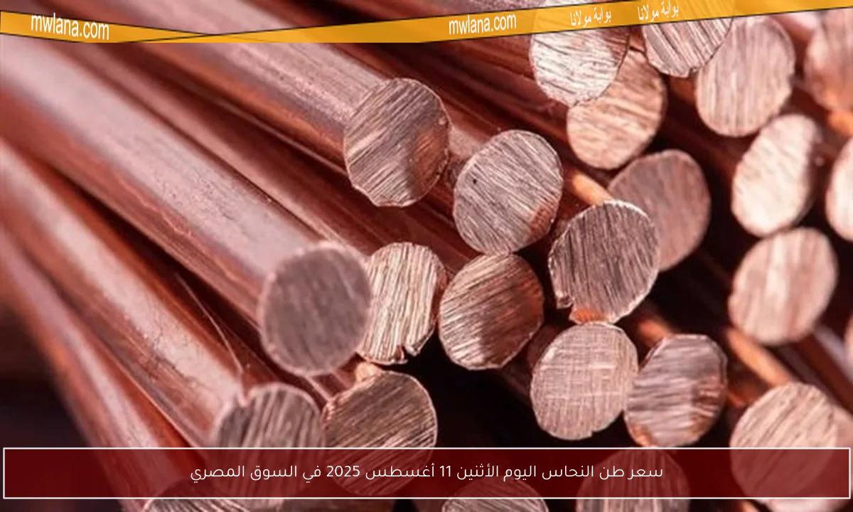 سعر طن النحاس اليوم الأثنين 11 أغسطس 2025 في السوق المصري