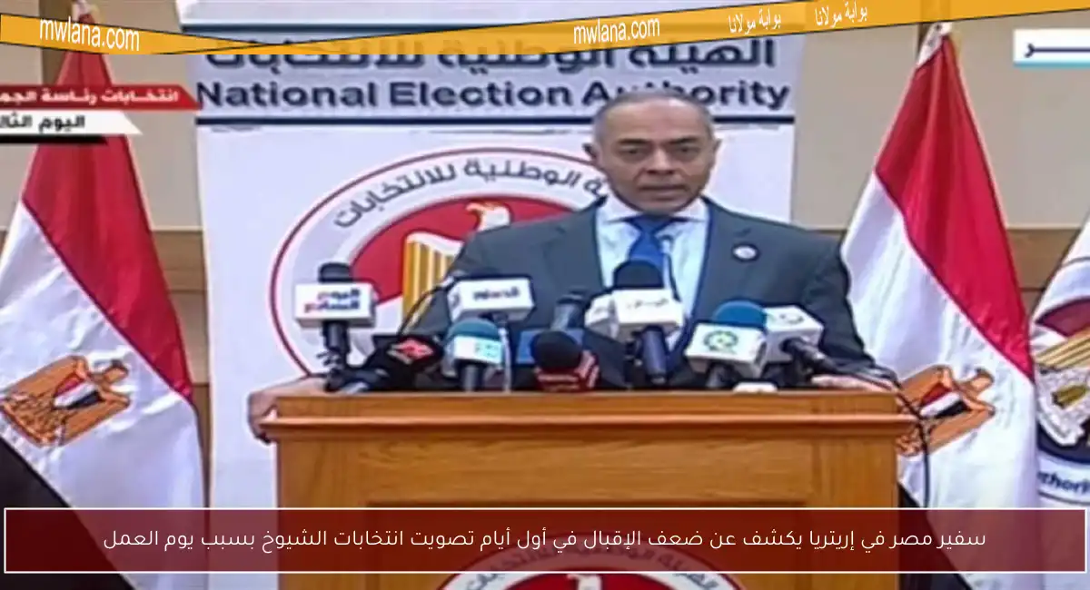 سفير مصر في إريتريا يكشف عن ضعف الإقبال في أول أيام تصويت انتخابات الشيوخ بسبب يوم العمل