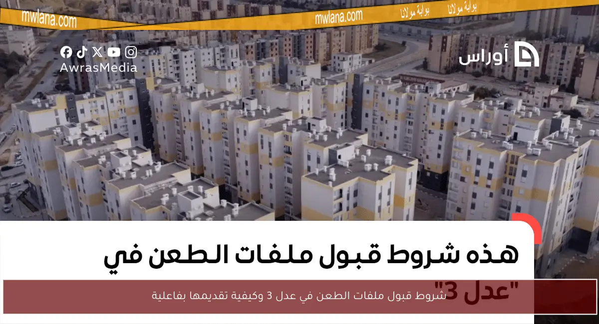 شروط قبول ملفات الطعن في عدل 3 وكيفية تقديمها بفاعلية