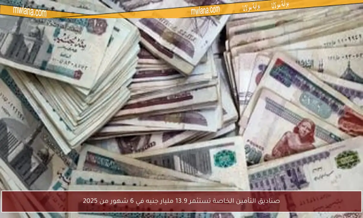 صناديق التأمين الخاصة تستثمر 13.9 مليار جنيه في 6 شهور من 2025