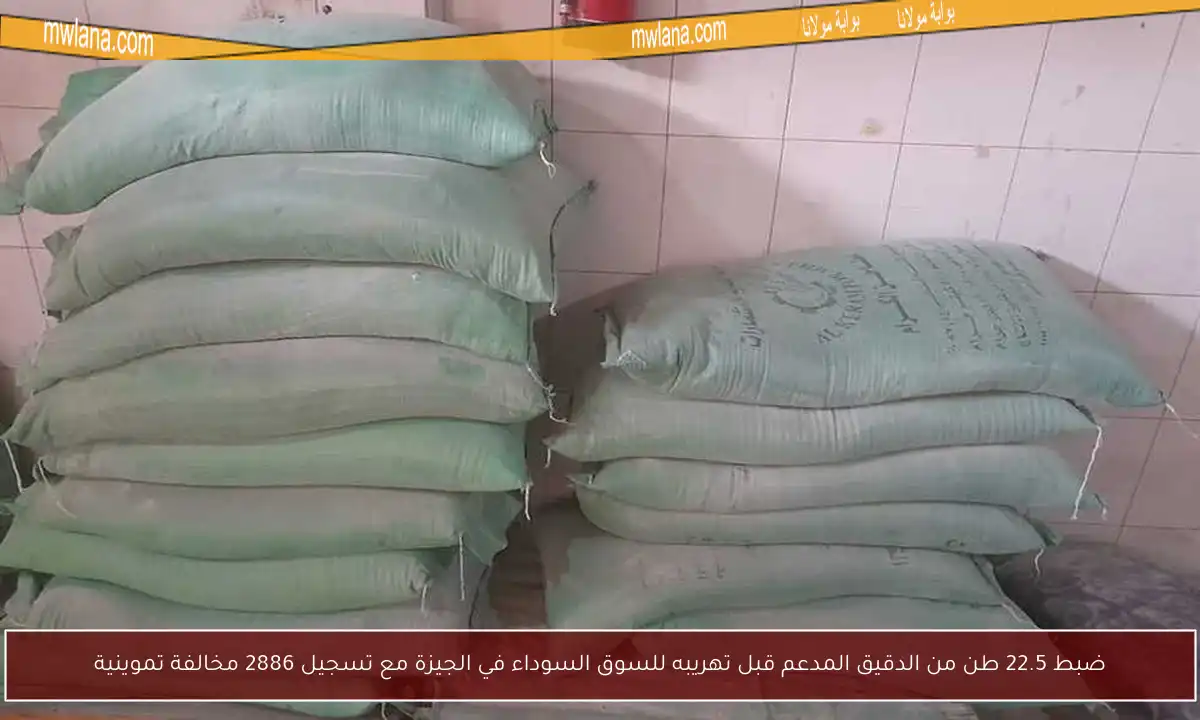 ضبط 22.5 طن من الدقيق المدعم قبل تهريبه للسوق السوداء في الجيزة مع تسجيل 2886 مخالفة تموينية