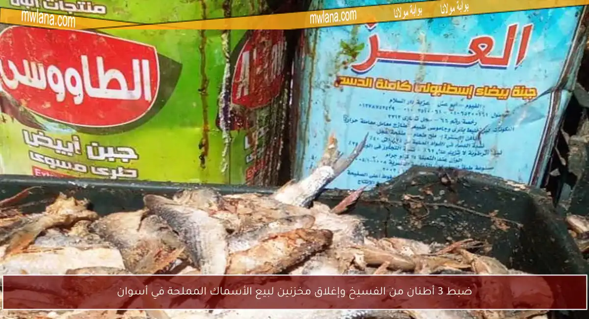 ضبط 3 أطنان من الفسيخ وإغلاق مخزنين لبيع الأسماك المملحة في أسوان