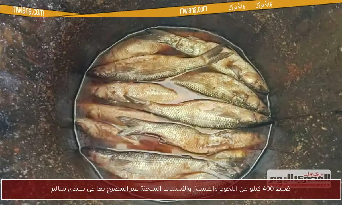 ضبط 400 كيلو من اللحوم والفسيخ والأسماك المدخنة غير المصرح بها في سيدي سالم