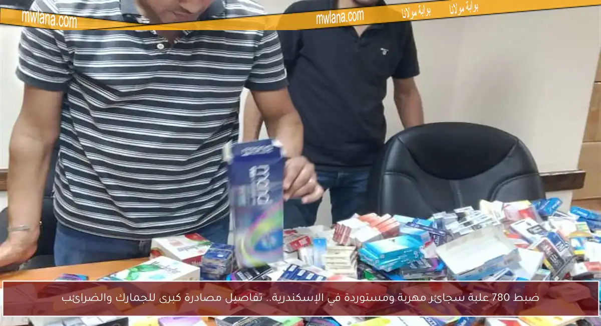 ضبط 780 علبة سجائر مهربة ومستوردة في الإسكندرية.. تفاصيل مصادرة كبرى للجمارك والضرائب