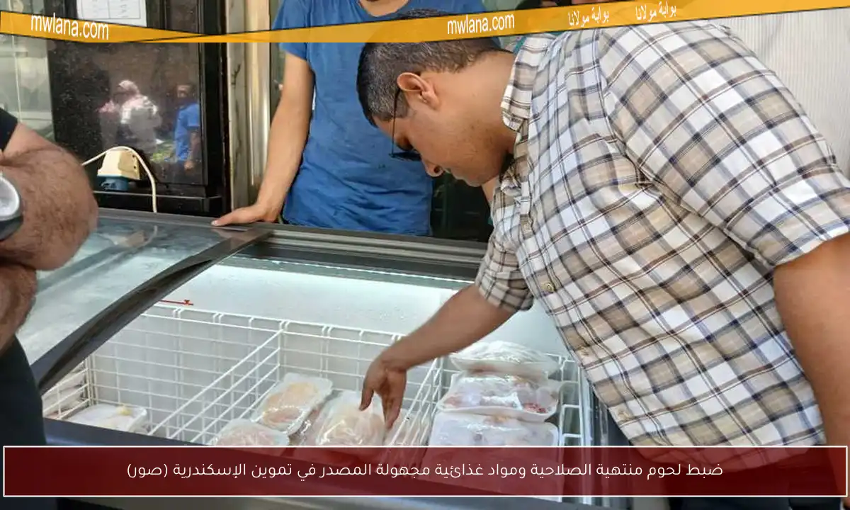 ضبط لحوم منتهية الصلاحية ومواد غذائية مجهولة المصدر في تموين الإسكندرية (صور)