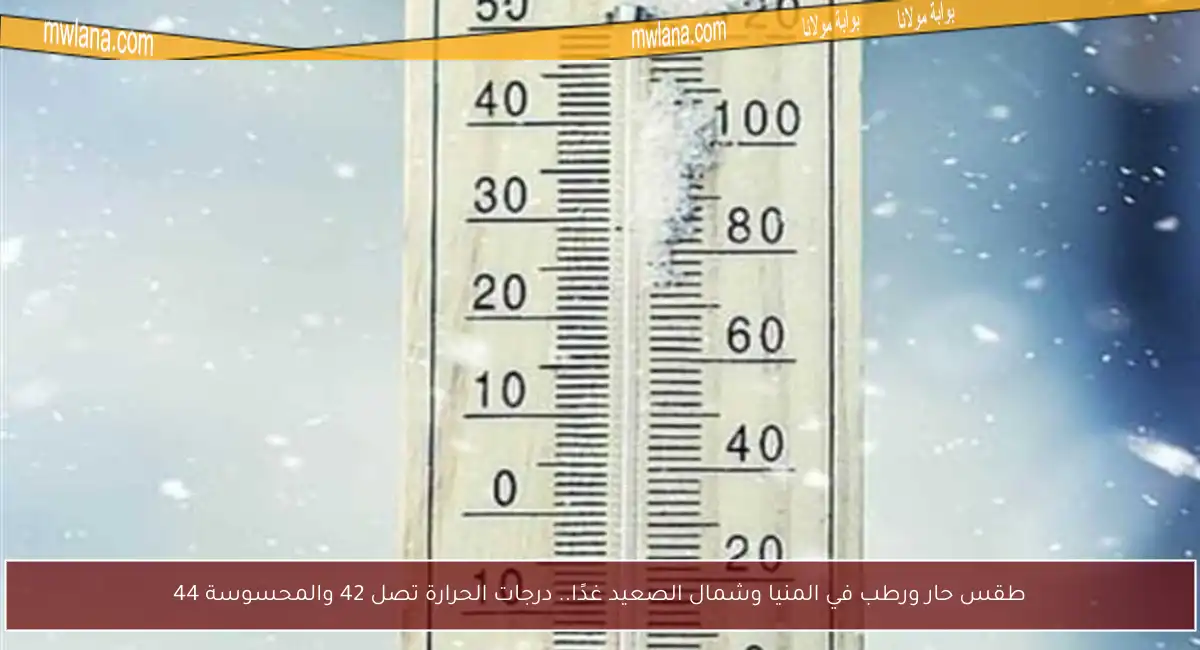 طقس حار ورطب في المنيا وشمال الصعيد غدًا.. درجات الحرارة تصل 42 والمحسوسة 44