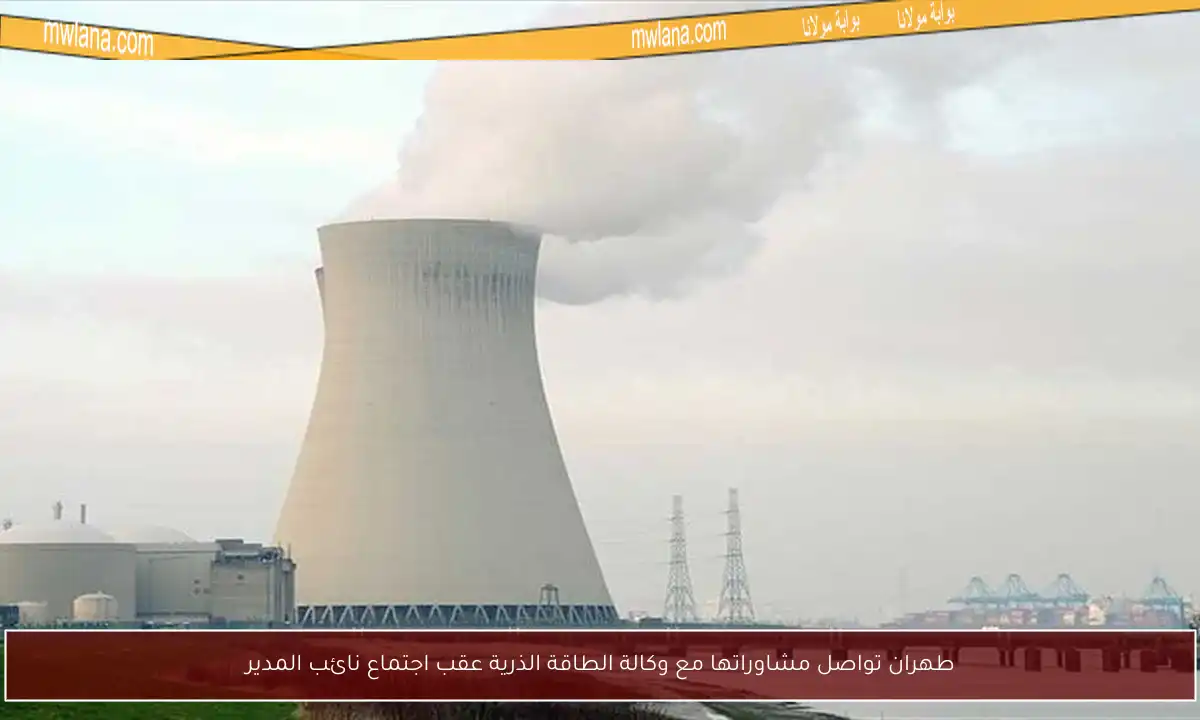 طهران تواصل مشاوراتها مع وكالة الطاقة الذرية عقب اجتماع نائب المدير