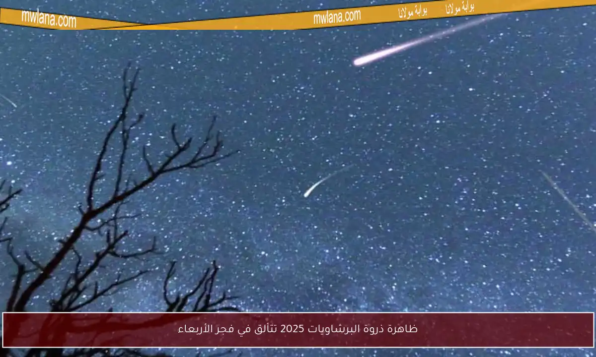ظاهرة ذروة البرشاويات 2025 تتألق في فجر الأربعاء