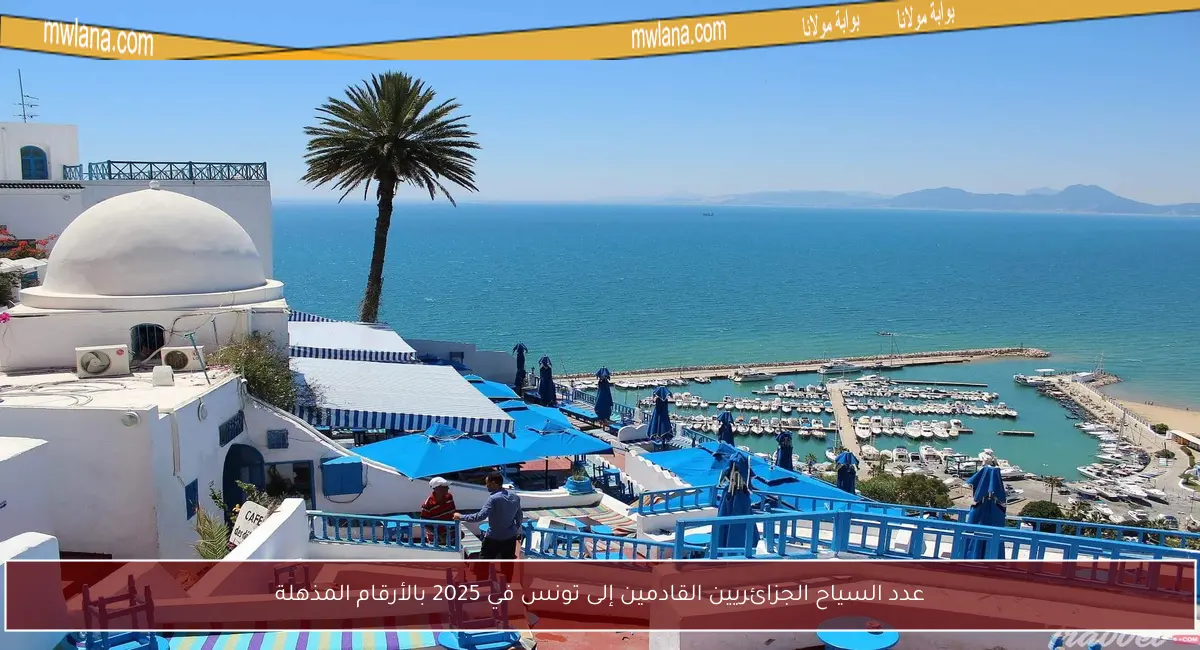 عدد السياح الجزائريين القادمين إلى تونس في 2025 بالأرقام المذهلة
