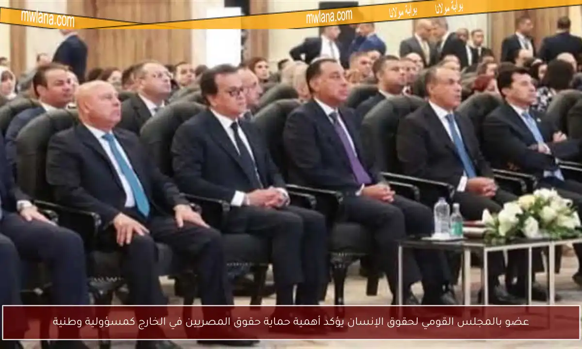 عضو بالمجلس القومي لحقوق الإنسان يؤكد أهمية حماية حقوق المصريين في الخارج كمسؤولية وطنية