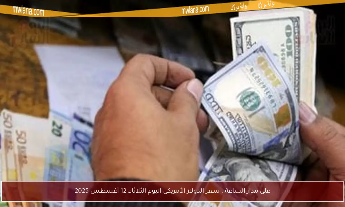 على مدار الساعة.. سعر الدولار الأمريكى اليوم الثلاثاء 12 أغسطس 2025
