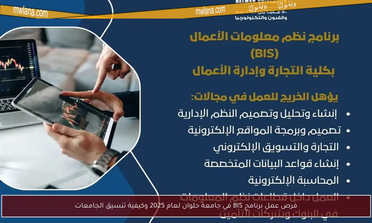 فرص عمل برنامج BIS في جامعة حلوان لعام 2025 وكيفية تنسيق الجامعات
