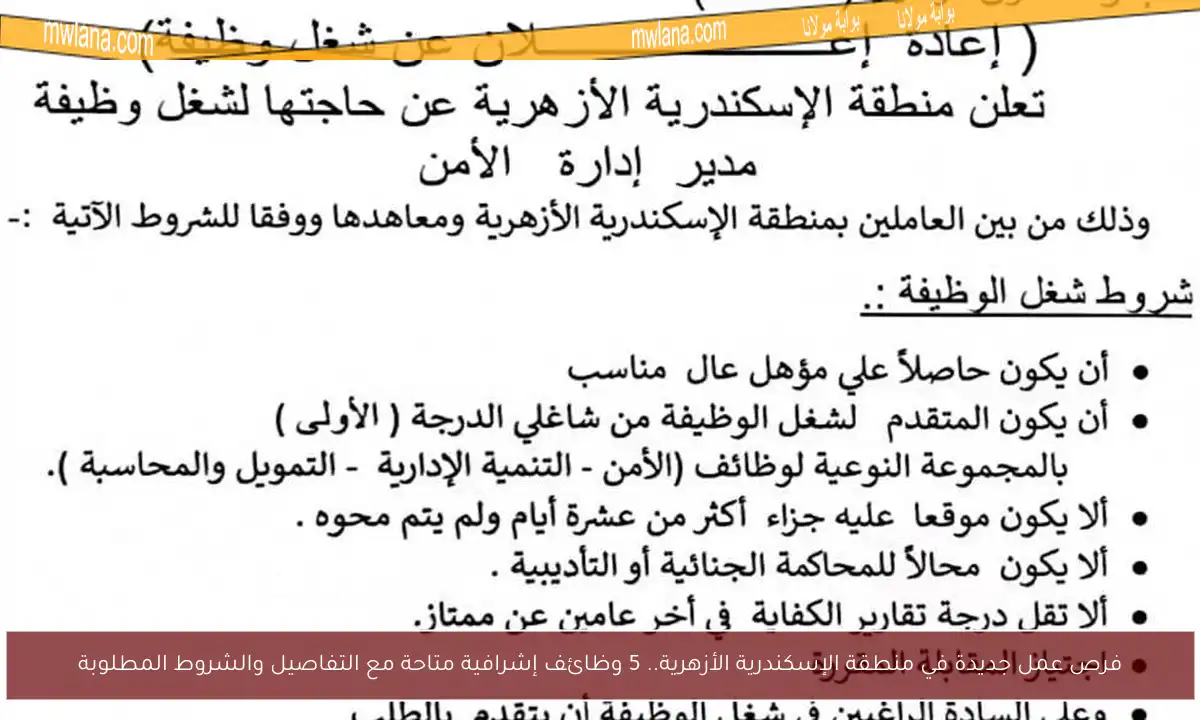 فرص عمل جديدة في منطقة الإسكندرية الأزهرية.. 5 وظائف إشرافية متاحة مع التفاصيل والشروط المطلوبة